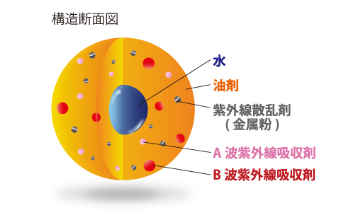 構造断面図
