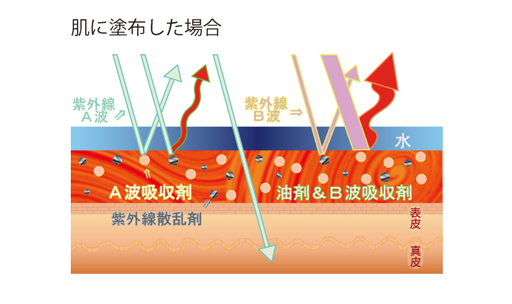 肌に塗布した場合