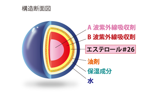 プリュエの構造断面図