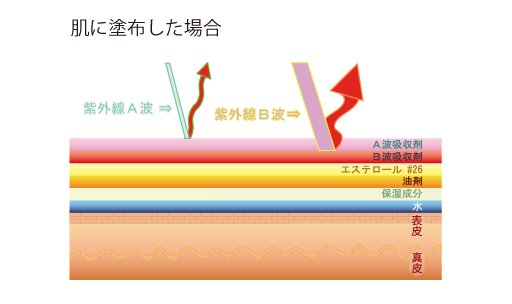 プリュエを肌に塗布した場合